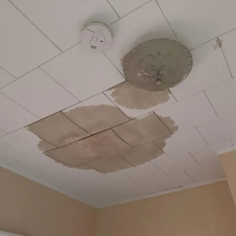 Ceiling Water Damage Repair in Shinnston, WV
