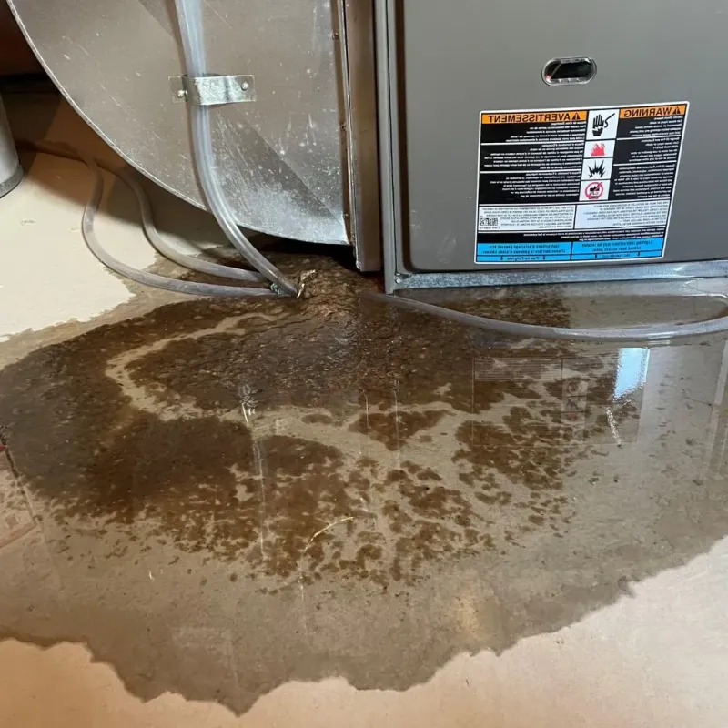 Pipe Burst and Leak Restoration in Shinnston, WV