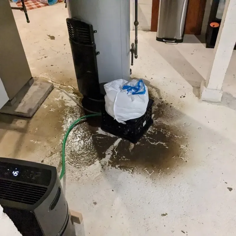 Sewage Backup Cleanup Service in Shinnston, WV